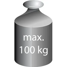 RIDDER Duschklappsitz Zac Duschhocker schwarz