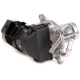 BorgWarner (Wahler) Borgwarner AGR-Ventil elektrisch, mit Dichtung