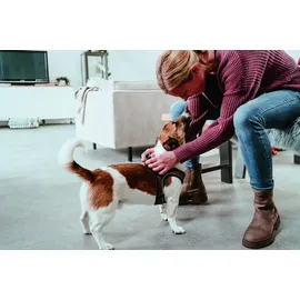 Hunter Hilo Comfort Hundehalsband Braun M