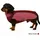 Wolters Regenjacke Easy Rain dunkelrot/himbeere Hundemantel 36 cm