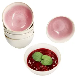 6er Set Reactive Glaze Paris Müsli-Schale 400ml 6 Pers Pink Schüssel Obst Salat