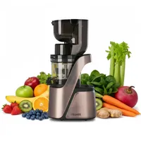 4SWISS Swan BM105 Langsamlaufende Saftpresse,