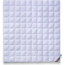 Daunen-Federn.de Sommerbettdecke 200x220 Premium: 100% neue Daunen Klasse 1, atmungsaktiv,10x11 Karo Stepp - Weiß