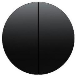 Wippe  für Serie, Wechsel/Wechsel, Doppeltaster (schwarz glänzend)
