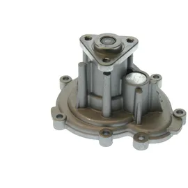 Saleri SIL Wasserpumpe