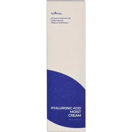 Isntree Hyaluronic Acid Moist Cream 100 ml