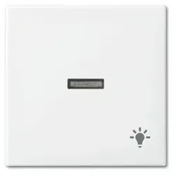 Kontrollwippe Schalter Busch-balance SI aws glz Symbol Licht