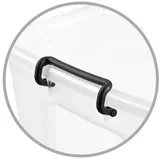 CEP Strata Aufbewahrungsbox 450 x 241 x 695 mm 1-tlg. transparent