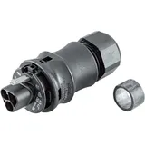 EVN Lichttechnik 68325S Stecker