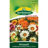 Quedlinburger Mittagsgold ''großblumige Spielarten Mischung''