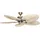 CasaFan Caribbean Dream Eco II MA-PLM 137 cm Deckenventilator palme/bambus