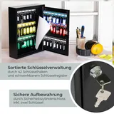 HMF 13542-02 Schlüsselschrank 42 Haken, 35 x 27 x 8 cm, Schwarz