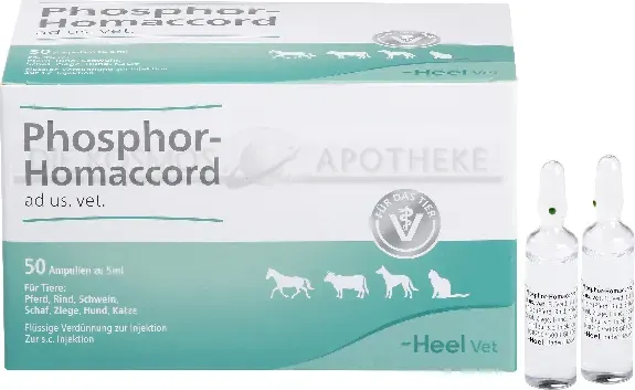 PHOSPHOR HOMACCORD ad us.vet.Ampullen 50 St