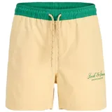 JACK & JONES Maui Archive Badeshorts Grau 152