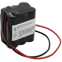 AccuCell Notleuchtenakku AA 2000 mAh 1 St.