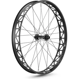 DT Swiss Laufrad BR 2250 Classic Fatbike