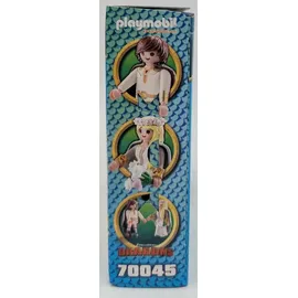 Playmobil Dragons Astrid und Hicks 70045