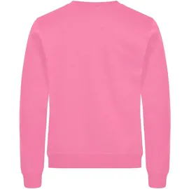 Clique Miami Roundneck Pullover Pink L
