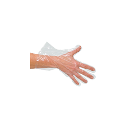 PE - Handschuh | im Polybeutel - 100 Stück Damen
