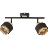 Brilliant Grove Spotrohr 2flg schwarz gold E14