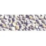 Ludwig Bähr 5 x Transparentpapier Rolle 115g/qm 50x61cm Maritim Muscheln
