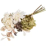 House Nordic Hydrangea Bouquet, Creme, Grün, Kunststoff, 30.5x67x25.5 cm, Dekoration, Kunstblumen