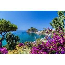 Fototapete PAPERMOON "ISCHIA ITALIEN-BOUGANVILLA INSEL MEER BLUME FELSEN WALD", bunt, B:3,50m L:2,60m, Vlies, Tapeten