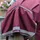 Weatherbeeta Comfitec Plus Dynamic II Standard Medium 220g - maroon/grey/white, 150