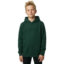 Poc Hoodie Green 12