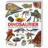 DK Verlag Dorling Kindersley Unsere Welt in 1000 Bildern. Dinosaurier