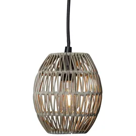 StarTrading Star Trading Ute 2,5m