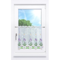 Scheibengardine Plauener Spitze - Krokus mit Schneeglöckchen " (Bx H) 144cm * 55cm" Violett/Lila