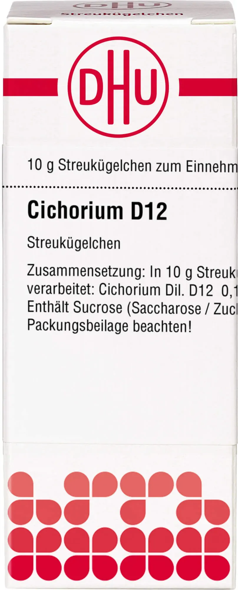 Cichorium D12 10 G