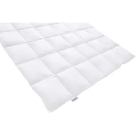 REGINA HOME SLEEP LIVING EST. 1967 Daunendecke, Weiß, Textil, Füllung: Daunen, Federn, 155x220 cm, Oeko-Tex® Standard 100, Schlaftextilien, Bettdecken, Daunendecken