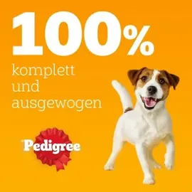 PEDIGREE Adult Frischebeutel Multipack Gemischte Selektion in Gelee 12 x 100 g