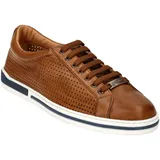Galizio Torresi 417530A Herren Braun 43,5