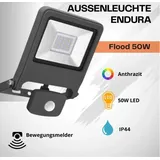 LEDVANCE Endura Flood Sensor 50 W 239593