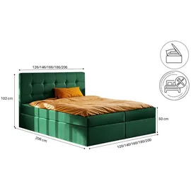 Kaiser Möbel Boxbett, Grün H3, 120x200 cm Schlafzimmer, Betten, Boxspringbetten
