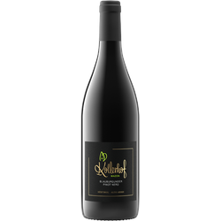 Pinot Nero Mazon 2019, Kollerhof