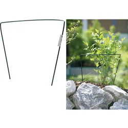 Staudenstütze Fix -  70 x 40 cm - grün