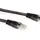 ewent 5.0m Cat6 UTP Netzwerkkabel Schwarz, 5 (M) U/UTP (UTP)