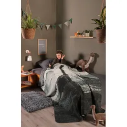 Biederlack Wohndecke »Wohndecke Brachio«, Wohndecke Brachio mit den Riesen der Urzeit Biederlack anthrazit-grün B/L: 150 cm x 200 cm