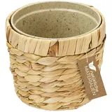 HMF 37280 Ø 14 x 13,5 cm Beige