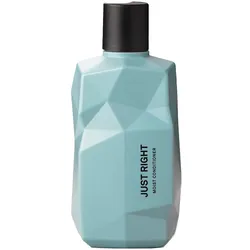 NINE YARDS Just Right Moist Conditioner 300 ml