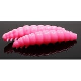 Libra Lures Larva 30 30mm 3cm Käse Bubble Gum 017 5908291083557 Bienenmade zum auftreibenden Angeln Forellenangeln