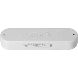 SOMFY Eolis 3D WireFree io Windsensor grau/weiß