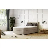Cotta Boxspringbett Simba, Topseller! wahlweise mit oder ohne Matratze und Topper bestellbar beige