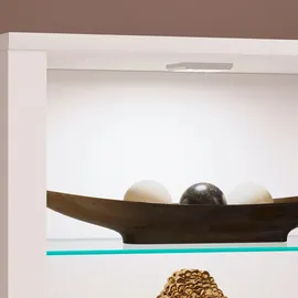 VCM Standvitrine Glasol S