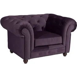 Max Winzer Sessel Orleans - purple