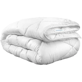 SCHIESSER Ganzjahresbettdecke Hygge | leichte Steppdecke mit Flauschiger Füllung | für Sommer und Winter | in der EU produziert | schadstoffgeprüft gemäß Oeko-TEX® Standard 100 | 135x200 cm